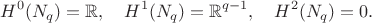 $$
H^0(N_q)=\mathbb{R},\quad H^1(N_q)=\mathbb{R}^{q-1},\quad H^2(N_q)=0.
$$