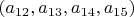 $(a_{12},a_{13},a_{14},a_{15})$