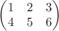 $\begin{pmatrix}
1 &2  &3 \\ 
4 &5  &6 
\end{pmatrix}$