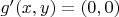$g'(x,y) = (0,0)$