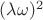 $(\lambda \omega)^{2}$