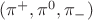 $(\pi^+,\pi^0,\pi_-)$