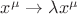 $x^\mu \rightarrow \lambda x^\mu$