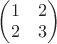 \begin{pmatrix}
1 & 2 \\
2 & 3 
\end{pmatrix}