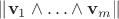 $\lVert\mathbf v_1\wedge\ldots\wedge\mathbf v_m\rVert$