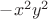 $-x^2y^2$