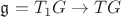 $\mathfrak g=T_1G\to TG$ $\mathfrak g=T_1G\to TG$