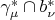 $\gamma^{*}_{\mu} \cap b^{*}_{\nu}$