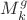 $M_{k}^{g}$
