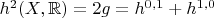 $h^2(X,\mathbb{R}) = 2g = h^{0,1}  + h^{1,0}$