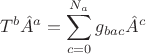 $$ T^{b} \hat{A}^{a}=\sum \limits^{N_a}_{c=0} g_{bac} \hat{A}^{c}$$