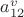 $a_{12}^v$