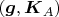 $(\boldsymbol g,\boldsymbol  K_A)$