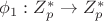 $\phi_1:Z_p^* \to Z_p^*$
