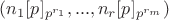 $( n_1[p]_{p^{r_1}}, ..., n_r[p]_{p^{r_m}} )$