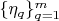 $\{\eta_q\}_{q=1}^m$