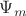 $\Psi_m$