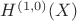 $H^{(1,0)}(X)$