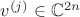 $v^{(j)}\in \mathbb{C}^{2n}$