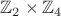 $\mathbb Z_2 \times \mathbb Z_4$