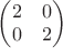 $\begin{pmatrix}2&0\\0&2\end{pmatrix}$