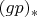 $(gp)_{*}$
