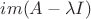 $im(A-\lambda I)$
