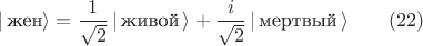 $$| \, \text{жен} \rangle = \frac{1}{\sqrt 2} \, | \, \text{живой} \, \rangle + \frac{i}{\sqrt 2} \, | \, \text{мертвый} \, \rangle   \qquad (22) $$