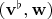 $(\mathbf v^\flat, \mathbf w)$