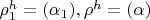 $\rho_1^h=(\alpha_1), \rho^h=(\alpha)$