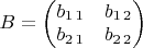 $B=\begin{pmatrix}b_{1\,1} & b_{1\,2}\\
b_{2\,1} & b_{2\,2}
\end{pmatrix}$