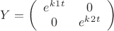 $ Y =
\left( \begin{array}{cc} e^k^1^t & 0 \\ 
0 & e^k^2^t \end{array} \right)$