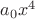 $a_0 x^4$