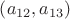$\left(a_{12},a_{13}\right)$