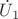 $\dot U_1$
