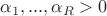 $\alpha_1, ..., \alpha_R > 0$