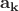 $\mathbf{a_k}$