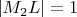 $|M_2 L|=1$