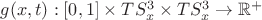 $g(x,t):[0,1]\times TS^3_x\times TS^3_x\to \mathbb{R}^+$