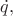 $\dot{q},$