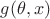 $g(\theta, x)$
