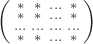 $\left(\begin{smallmatrix}* &* & \ldots & * \\
* &* & \ldots & * \\
\ldots & \ldots & \ldots& \ldots \\
* & * &\ldots & * \\
\end{smallmatrix}\right)$