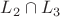 $L_2 \cap L_3$