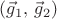 $(\vec{g}_1, \, \vec{g}_2)$