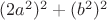 $(2a^2)^2+(b^2)^2$