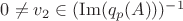 $0 \neq v_2 \in (\operatorname{Im}(q_p(A)))^{-1}$