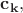 $\mathbf{c}_{\mathbf{k}},$