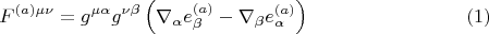 $$F^{(a) \mu \nu} = g^{\mu \alpha} g^{\nu \beta} \left( \nabla_{\alpha} e^{(a)}_{\beta} -  \nabla_{\beta} e^{(a)}_{\alpha}\right) \eqno(1)$$