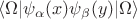 $$\langle \Omega|\psi_\alpha(x)\psi_\beta(y)|\Omega\rangle$$