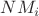 $NM_i$